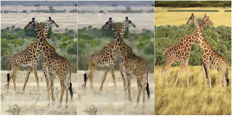 Giraffe image compression
